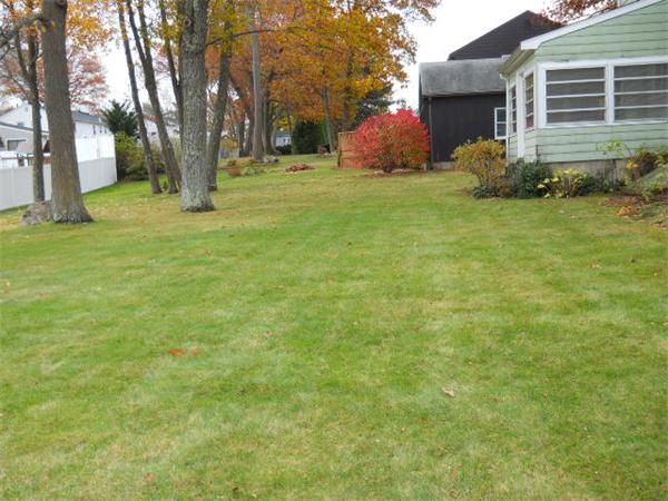 41 Gregory Road Wakefield, MA 01880 - Photo 4 of 24 a backyard of a house with plants and large tree