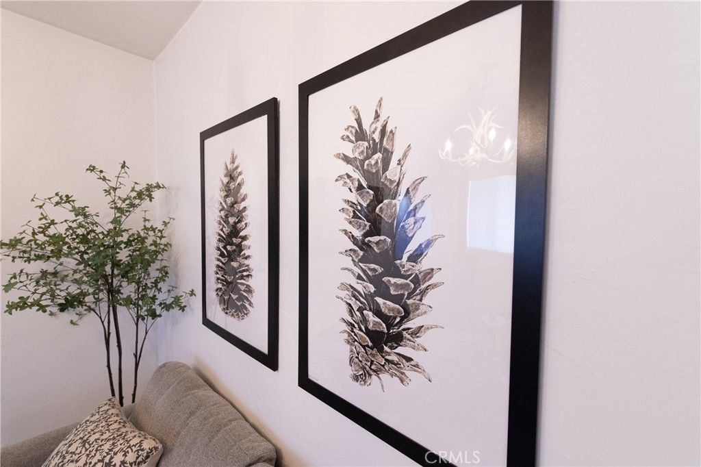 376 Riverside Avenue Sugarloaf, CA 92386 - Photo 8 of 28 a potted plant in front of a window