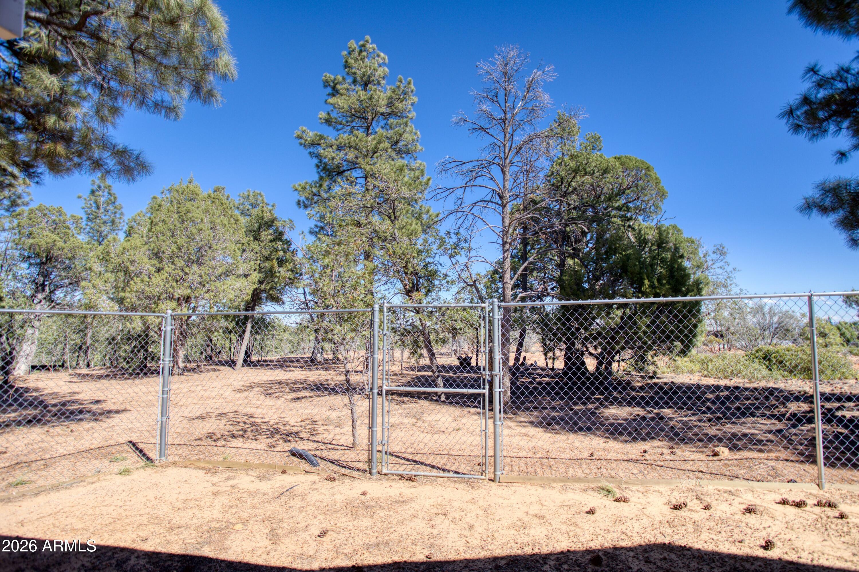 949 Geronimo Lane Show Low, AZ 85901 - Photo 36 of 46