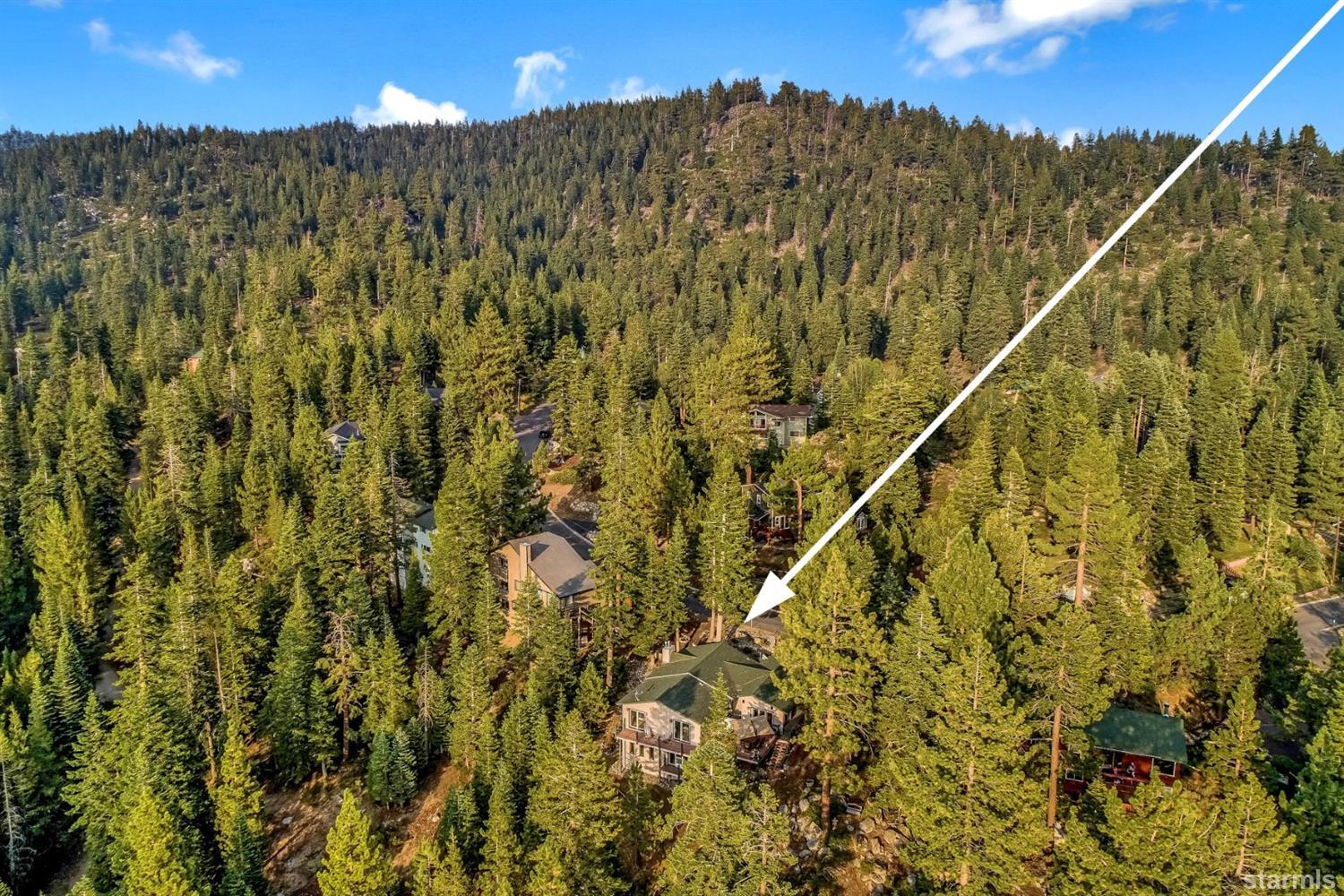 216 Sunflower Circle Stateline, NV 89449 - Photo 2 of 25