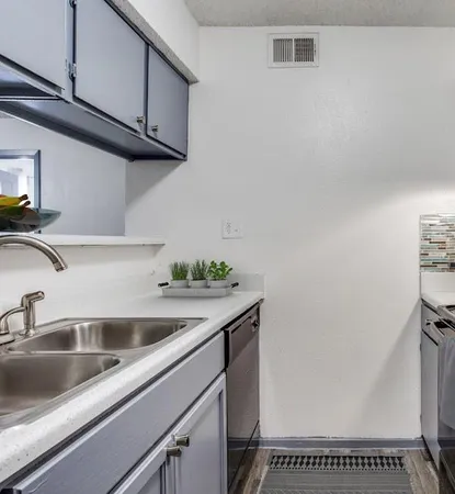 a close view of a sink and dishwasher in a kitchen