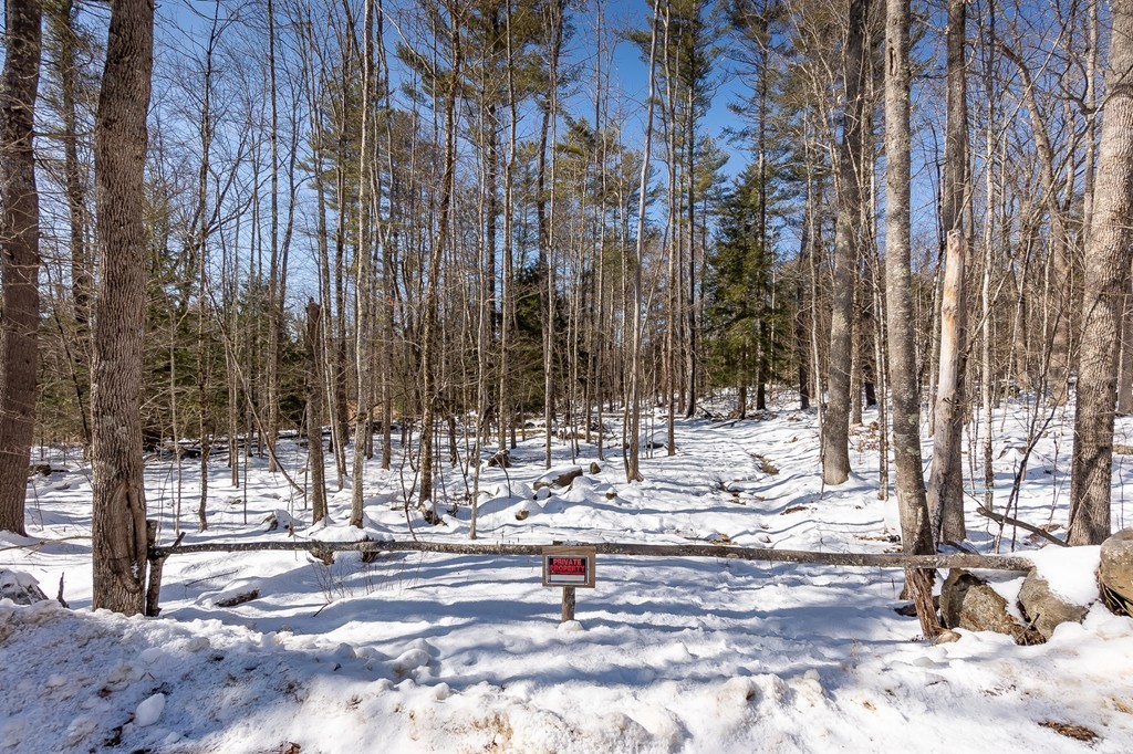 0 Brown Road Royalston, MA 01368 - Photo 2 of 16 Gallery Image 2