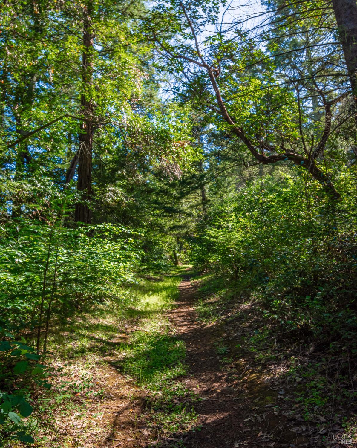 0 Dry Creek Road Napa, CA 94558 - Photo 70 of 98