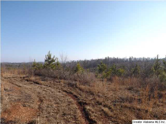 286 County Road, Unit 85 Collinsville, AL 35961 - Photo 11 of 23