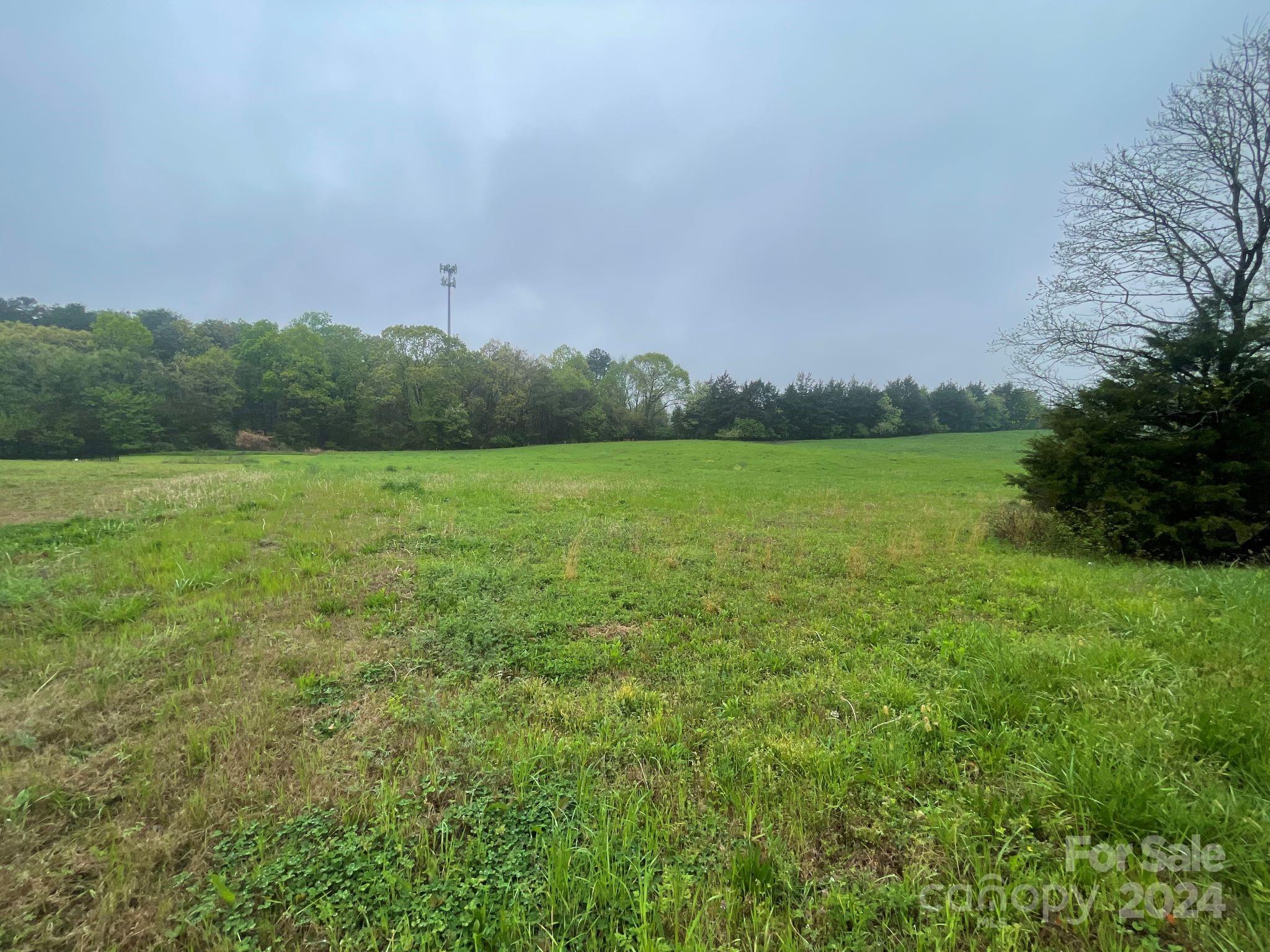 1967 Mayberry Road Dallas, NC 28034 - Photo 4 of 9 Gallery Image 4