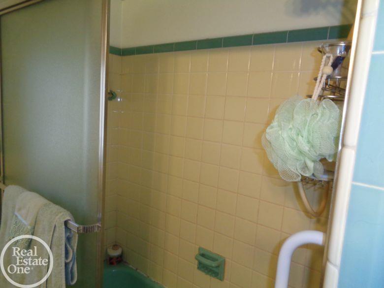 24715 Ridgecroft Avenue Eastpointe, MI 48021 - Photo 13 of 23 Bathroom Shower