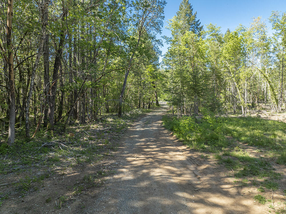 382 Garner Road Cave Junction, OR 97523 - Photo 24 of 38 a view of outdoor space and yard