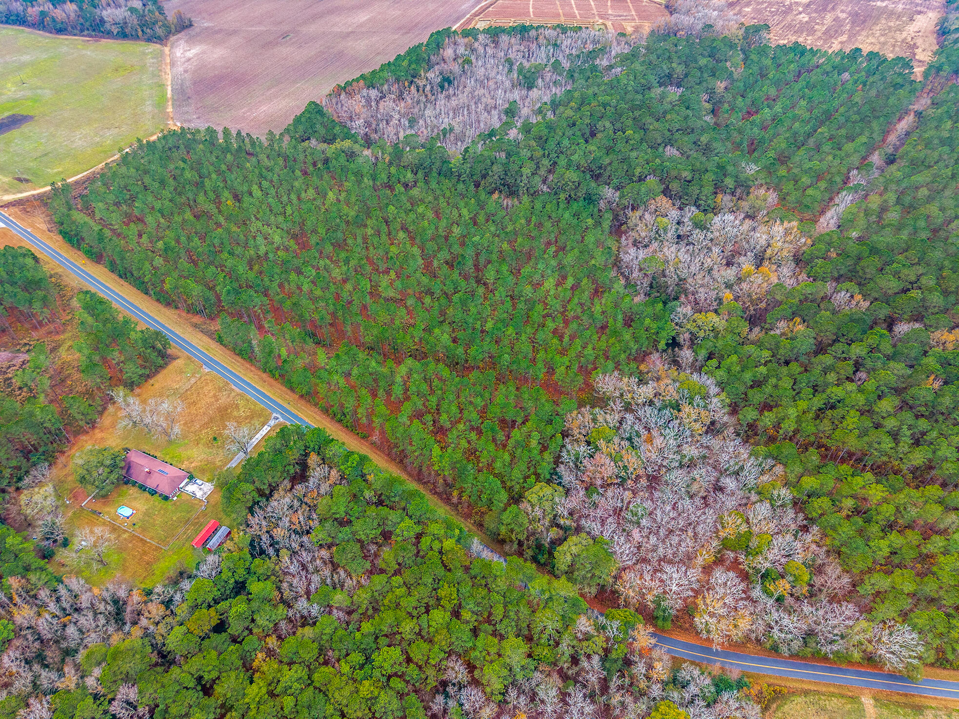 0 Shuler Belt Road Holly Hill, SC 29059 - Photo 17 of 25 00 Shuler Belt Rd