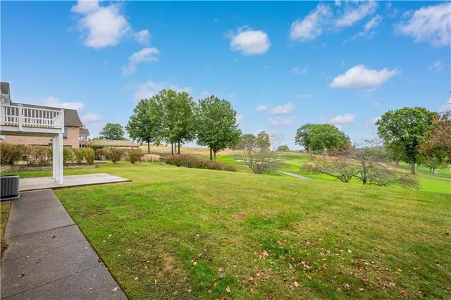 a view of a park with large trees