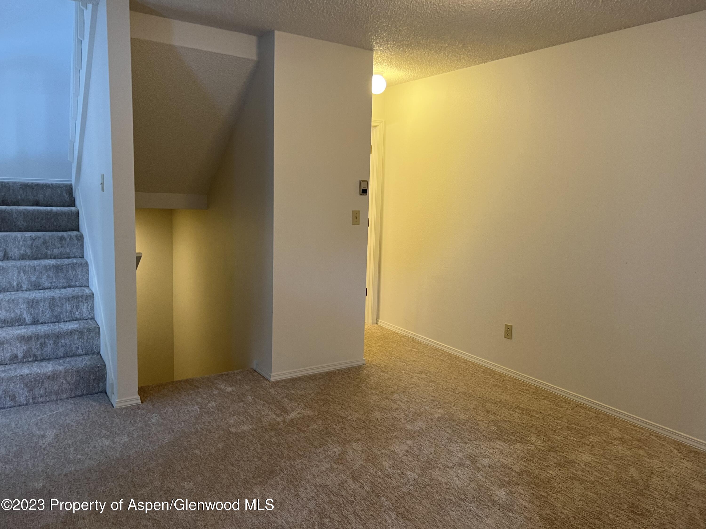 254 Wren Court Basalt, CO 81621 - Photo 27 of 37 Photo Jan 02, 3 23 42 PM
