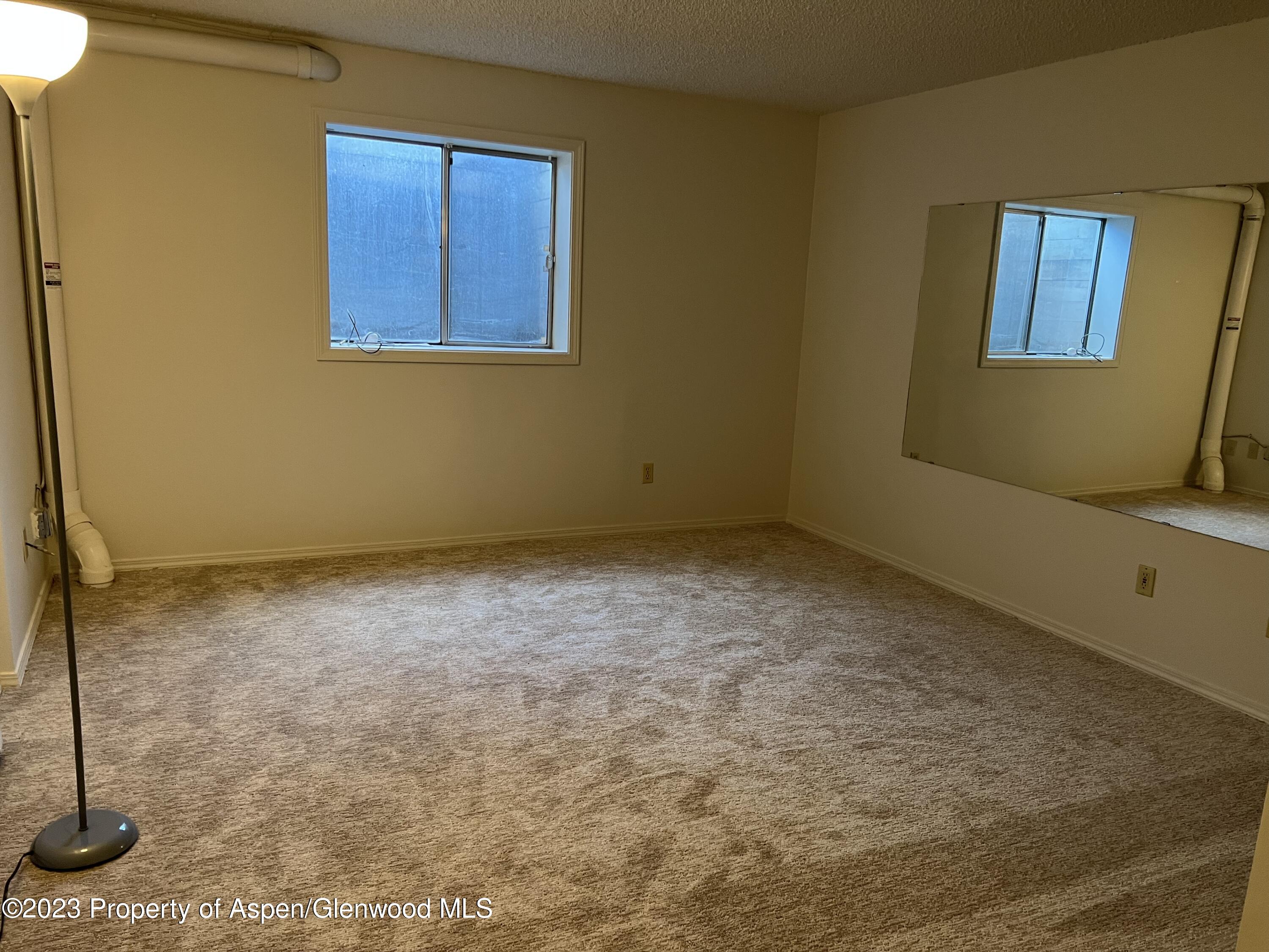 254 Wren Court Basalt, CO 81621 - Photo 31 of 37 Photo Jan 02, 3 26 20 PM
