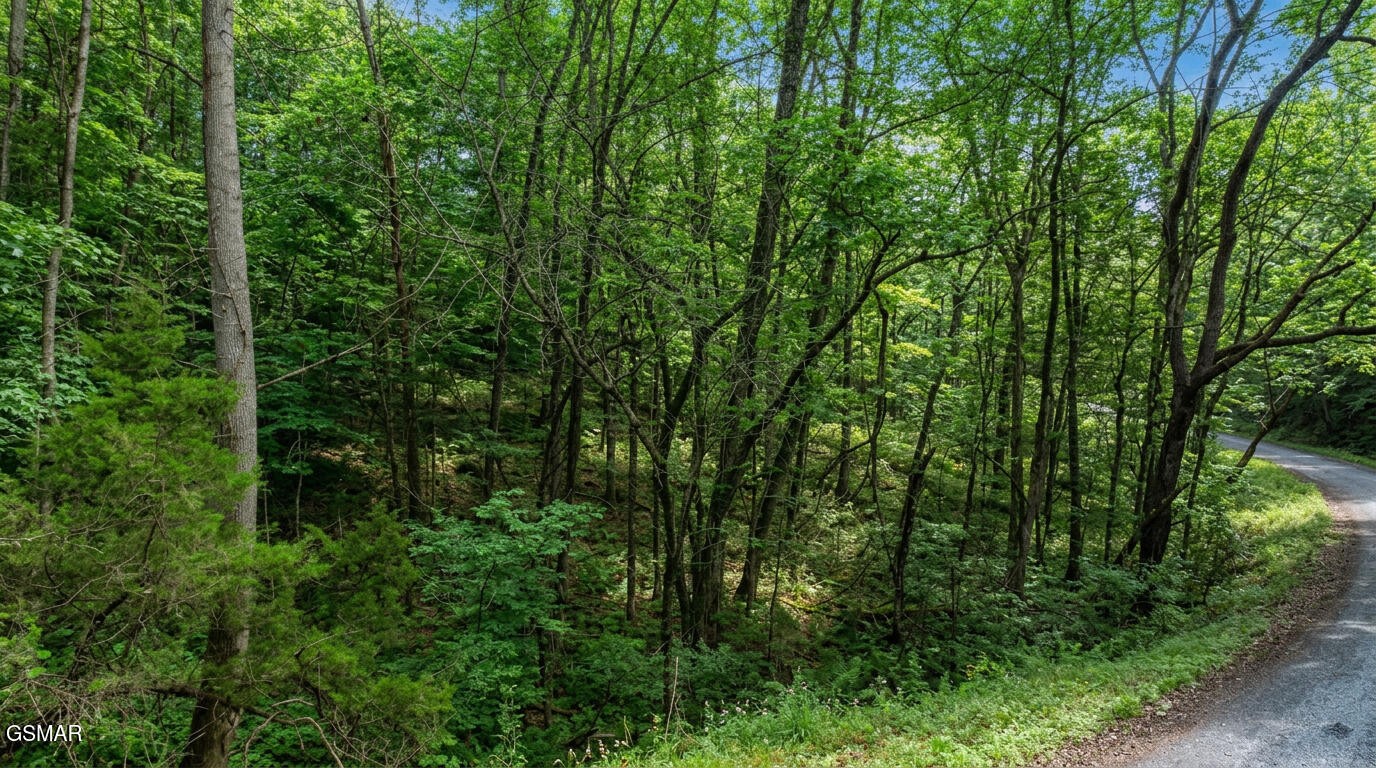 44 Cedarwood Road Newport, TN 37821 - Photo 4 of 21 Gallery Image 4