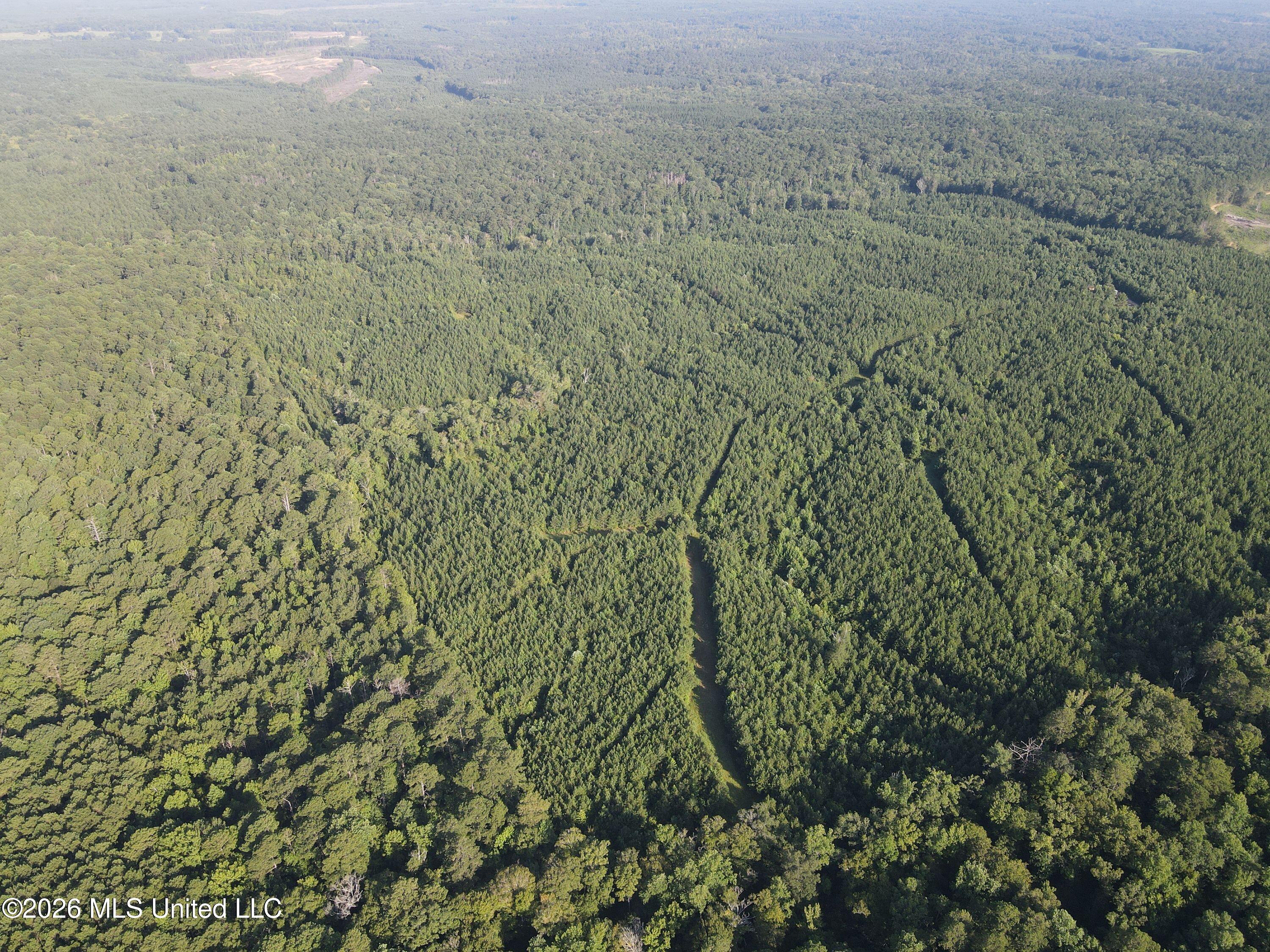 Cupit Rd Union Union Church, MS 39668 - Photo 18 of 61 DJI_0724