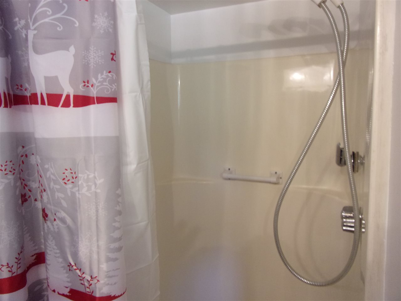 4424 East Rose City Road Lupton, MI 48635 - Photo 15 of 45 1848814-14.JPG