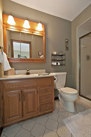 1424 Chestnut Ridge Drive Naperville, IL 60540 - Photo 15 of 25