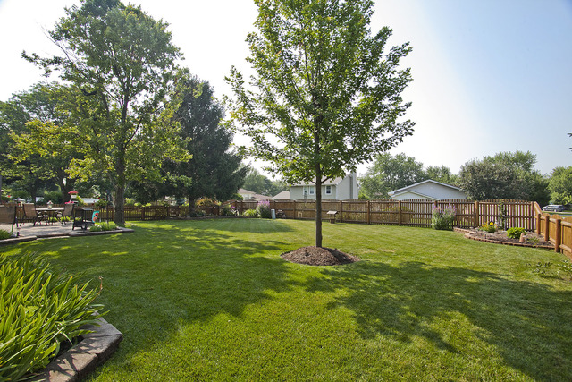 1424 Chestnut Ridge Drive Naperville, IL 60540 - Photo 21 of 25