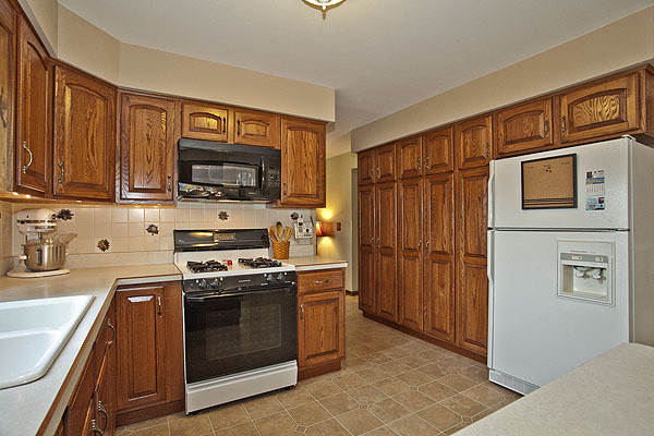 1424 Chestnut Ridge Drive Naperville, IL 60540 - Photo 8 of 25