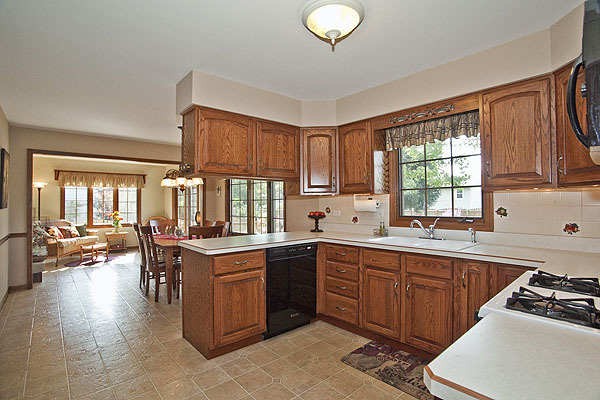 1424 Chestnut Ridge Drive Naperville, IL 60540 - Photo 10 of 25