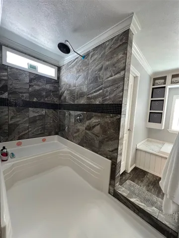 a bathroom with a bathtub and a shower