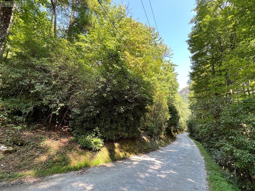 N/a Old Orchard Road Highlands, NC 28741 - Photo 4 of 10 Gallery Image 4