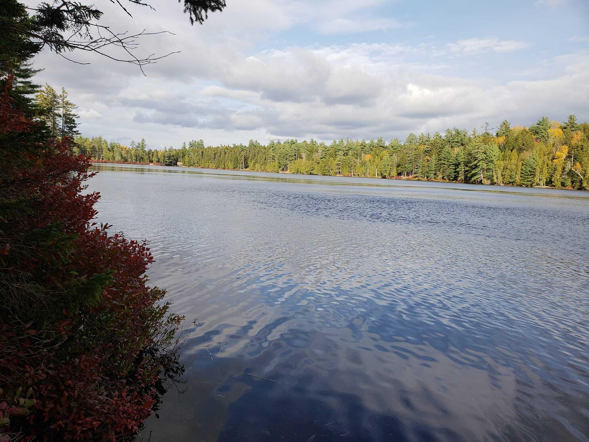 Lot714 Lot714 Ryder Road Wesley, ME 04686 - Photo 10 of 26 279803069_10221170175059474_874823890342