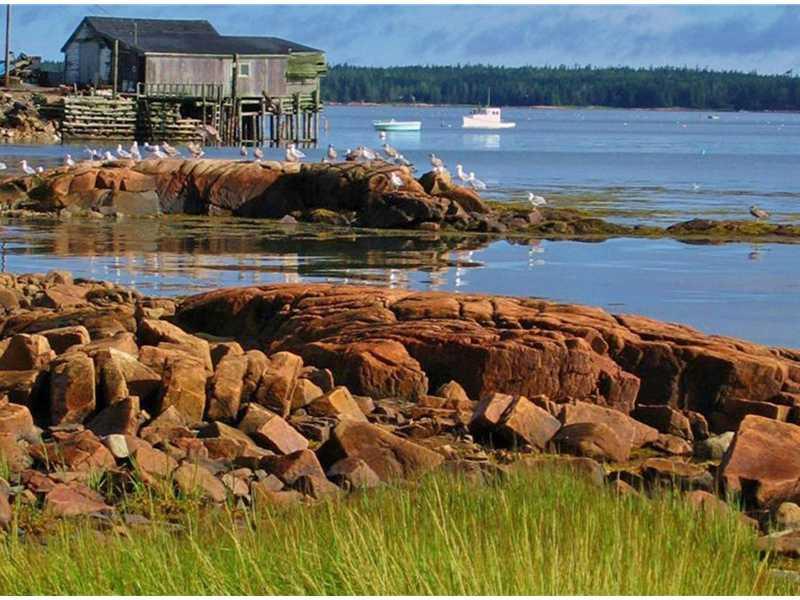 854 Pigeon Hill Road Steuben, ME 04680 - Photo 11 of 34 Waterfront/Dock/Pier.
