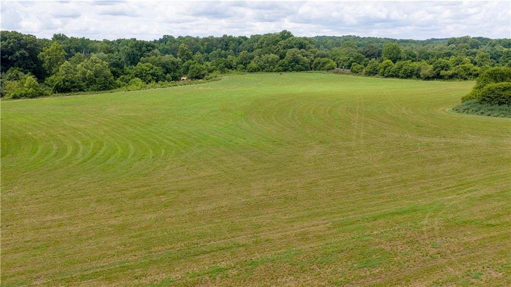 0 Ebenezer Church Road Winder, GA 30680 - Photo 3 of 22