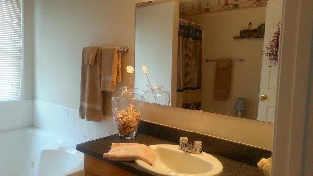 1681 Blankenship Road Goodview, VA 24095 - Photo 16 of 23 a bathroom with a sink and a mirror