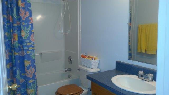 1681 Blankenship Road Goodview, VA 24095 - Photo 18 of 23 a bathroom with a sink toilet and shower