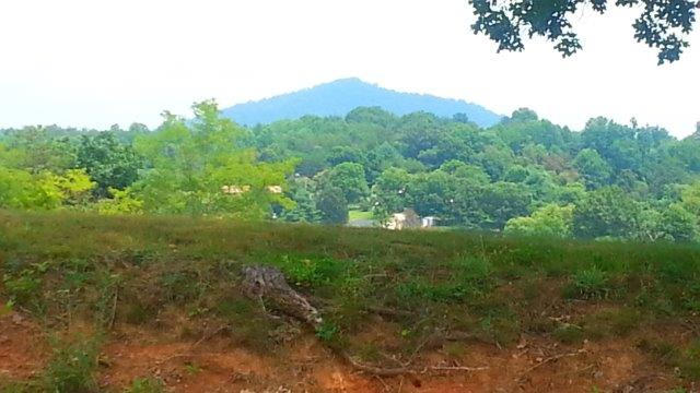 1681 Blankenship Road Goodview, VA 24095 - Photo 8 of 23 a view of a yard with a tree