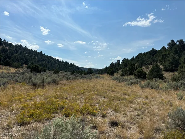 $595,000 | 1 Ice Plant, Ely, NV 89301