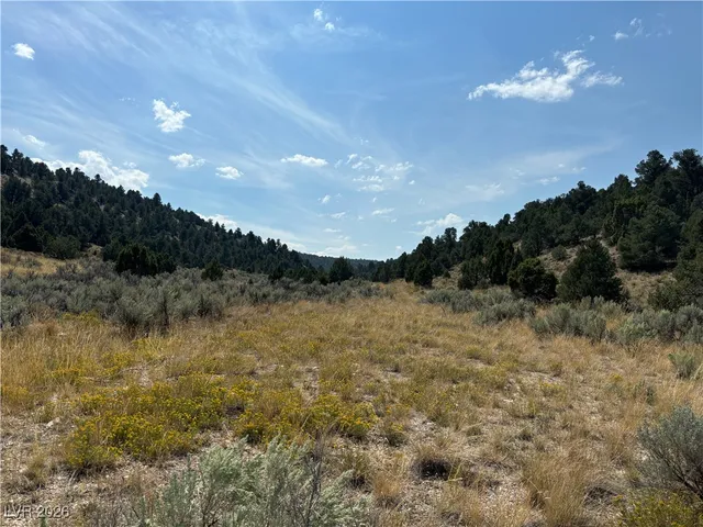 $625,000 | 1 Ice Plant, Ely, NV 89301