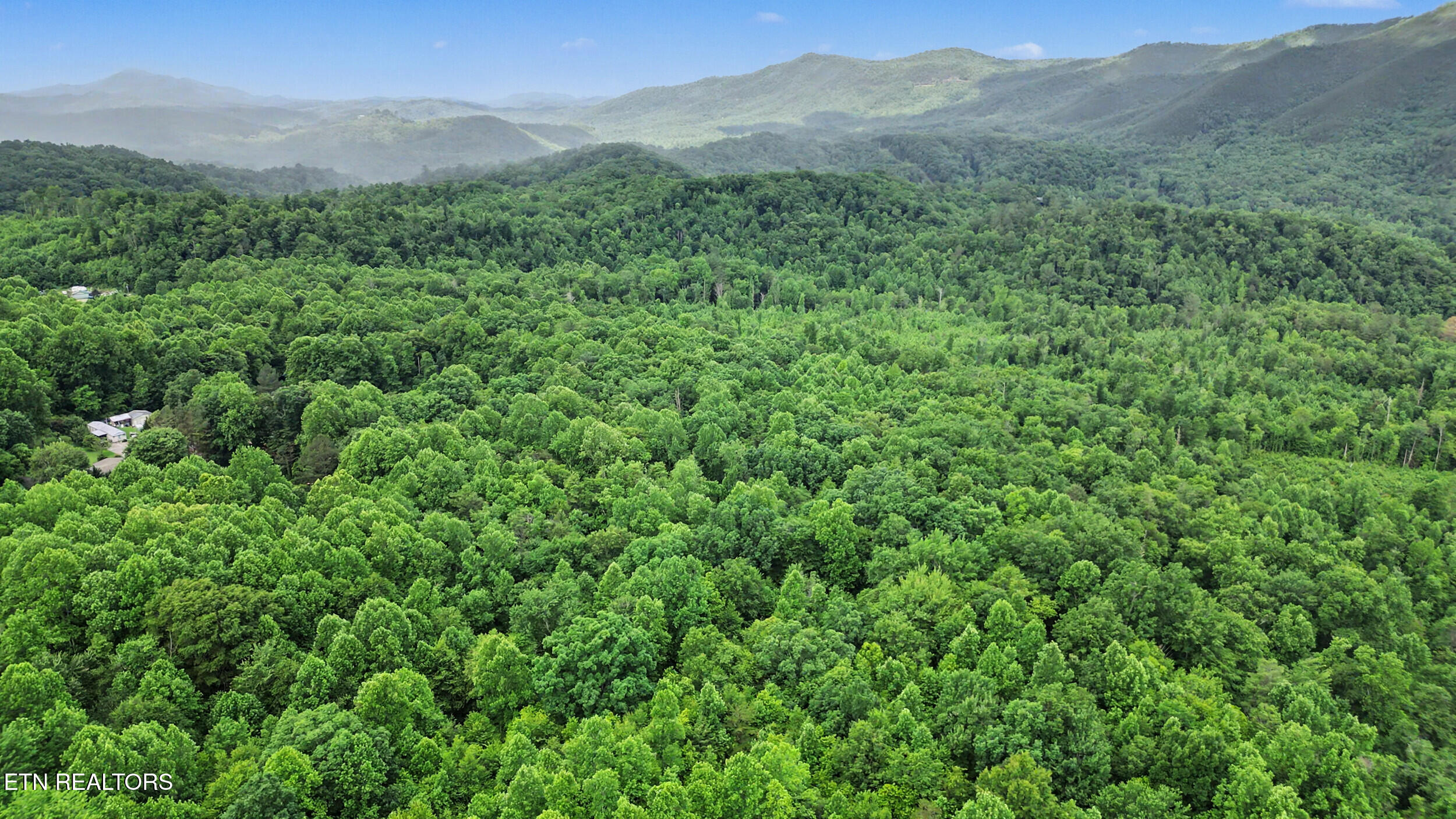Flat Road Cosby, TN 37722 - Photo 10 of 21 3_dji_0243