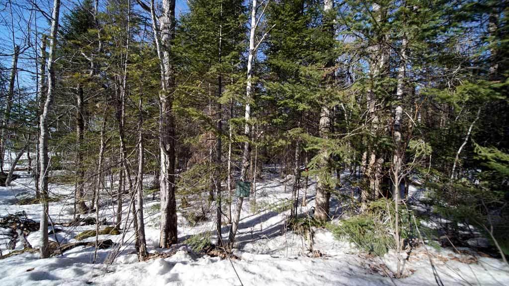 Lot 25 Oxbow Road Oxbow, ME 04764 - Photo 21 of 73 oxbow-me-cabin-8