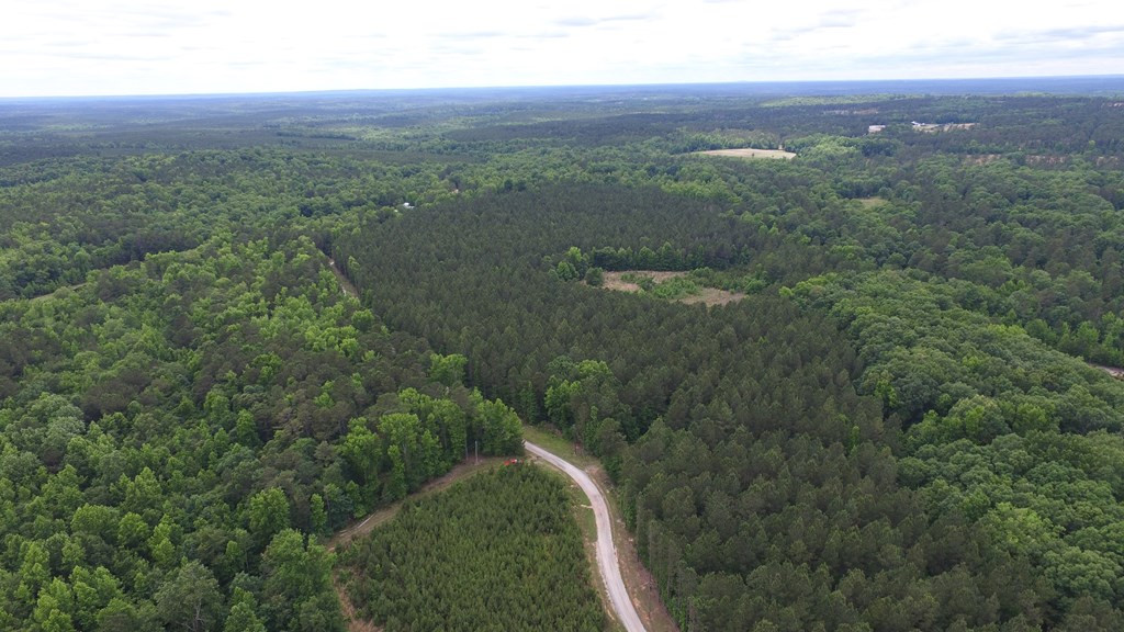 Lot 05 Razor Ridge Road Trenton, SC 29847 - Photo 11 of 11