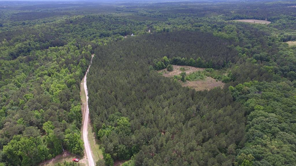 Lot 05 Razor Ridge Road Trenton, SC 29847 - Photo 2 of 11