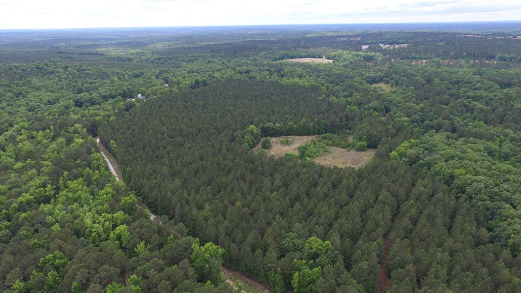 Lot 05 Razor Ridge Road Trenton, SC 29847 - Photo 3 of 11