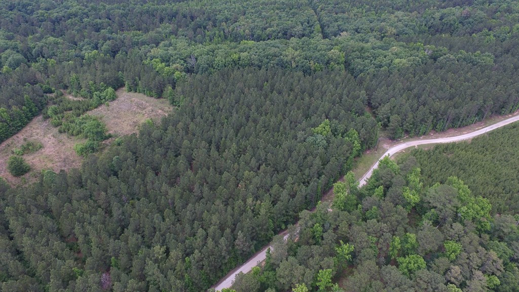 Lot 05 Razor Ridge Road Trenton, SC 29847 - Photo 5 of 11