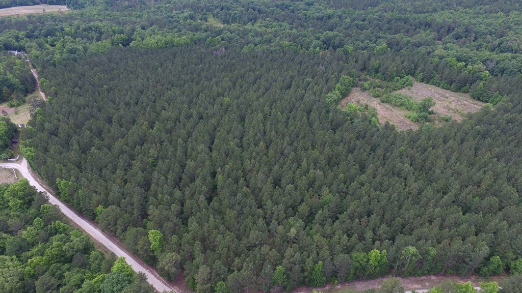 Lot 05 Razor Ridge Road Trenton, SC 29847 - Photo 6 of 11
