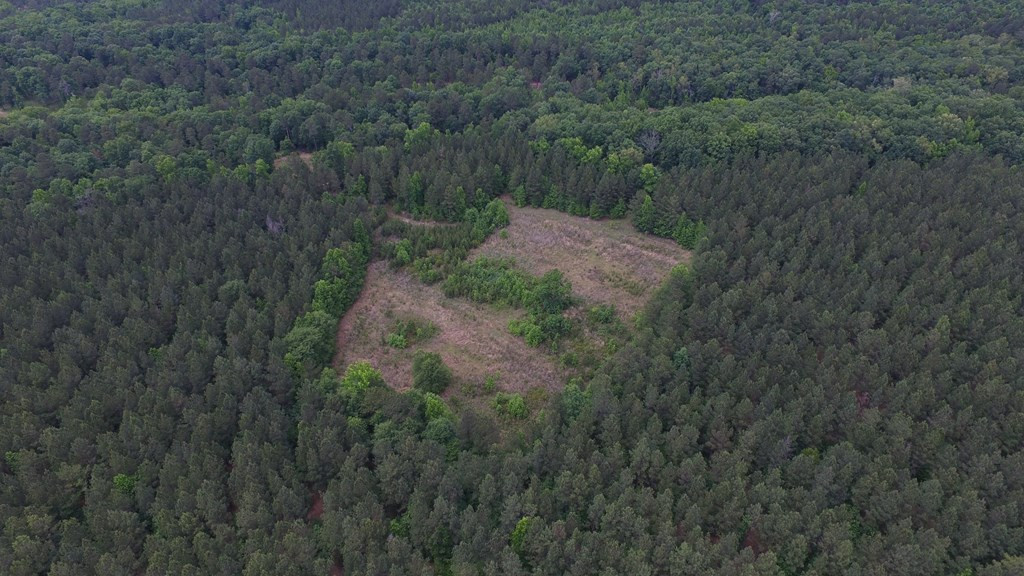 Lot 05 Razor Ridge Road Trenton, SC 29847 - Photo 7 of 11