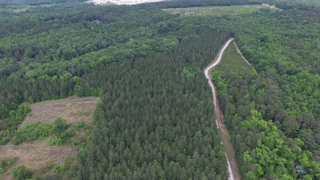Lot 05 Razor Ridge Road Trenton, SC 29847 - Photo 8 of 11