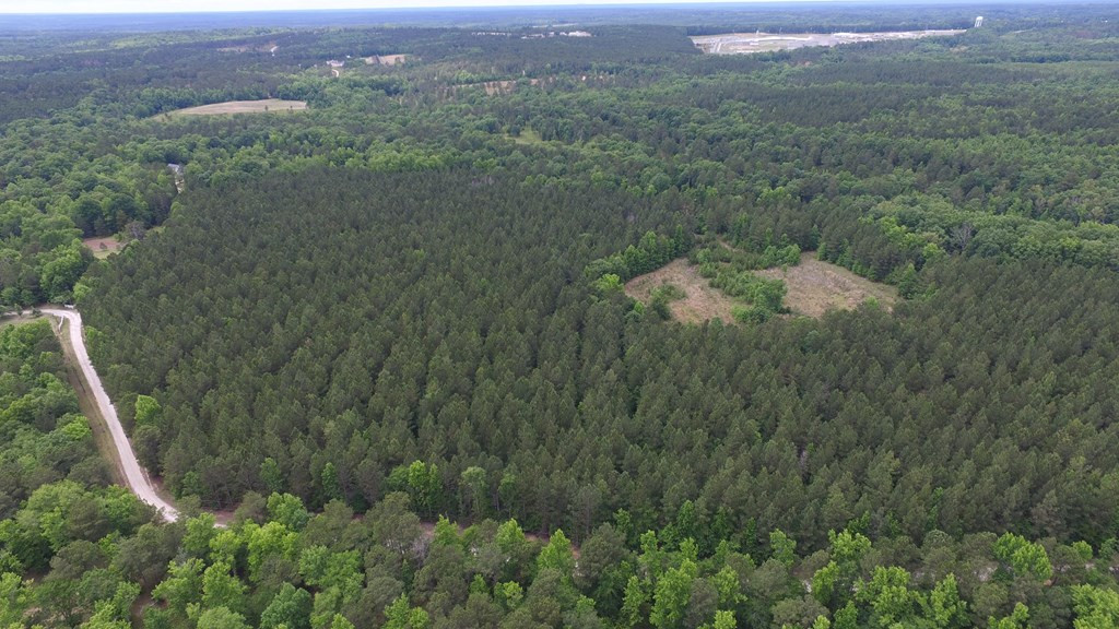 Lot 05 Razor Ridge Road Trenton, SC 29847 - Photo 9 of 11