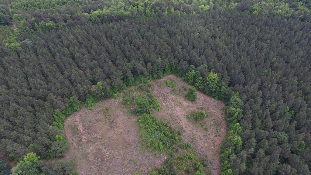 Lot 05 Razor Ridge Road Trenton, SC 29847 - Photo 10 of 11