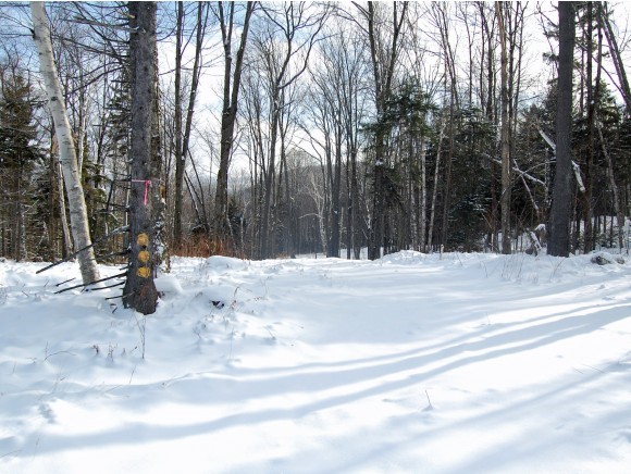 18 Lincoln Ridge Warren, VT 05674 - Photo 2 of 36 Gallery Image 2
