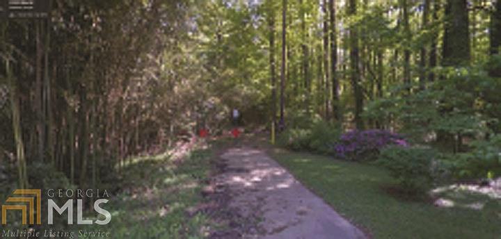 a view of a yard