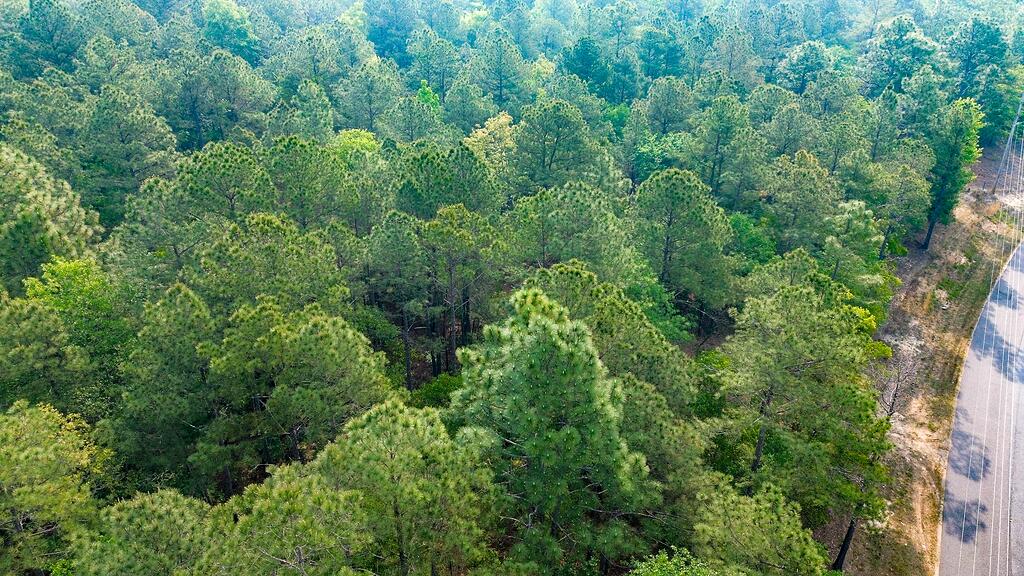 0 Mt Zion Road, Unit 3 Trenton, SC 29847 - Photo 23 of 26