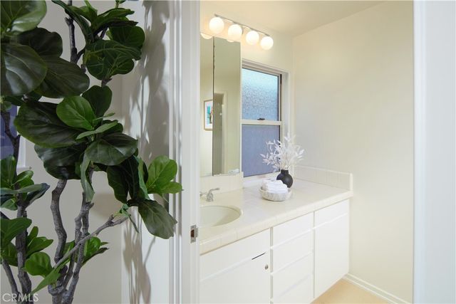 a bathroom with a sink a mirror and a potted plant