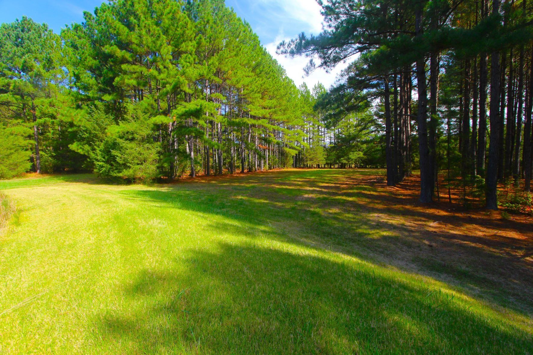 4161 Range Road Stem, NC 27581 - Photo 36 of 43 a view of a trees in a yard