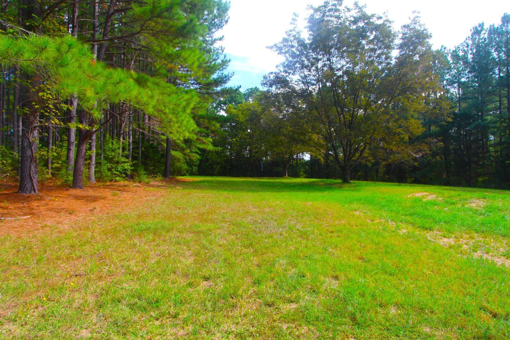 4161 Range Road Stem, NC 27581 - Photo 37 of 43 a view of outdoor space with swimming pool and green space