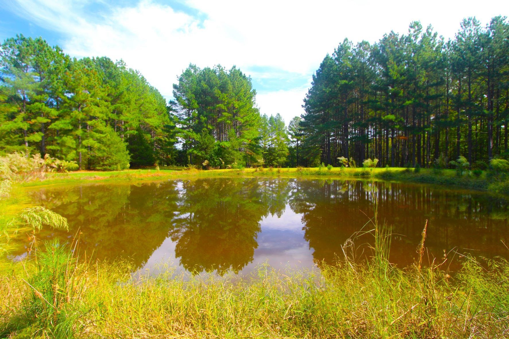 4161 Range Road Stem, NC 27581 - Photo 38 of 43 Photo 38